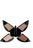 Beautiful Blends Eye Quad